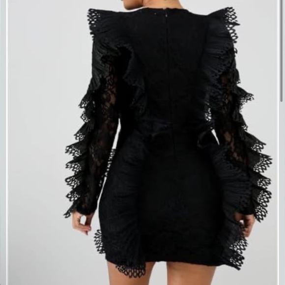 La Sang Exotic Lace Ruffle See-through Bodycon Mini Dress, Large - Picture 2 of 14